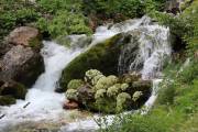 27. Soča